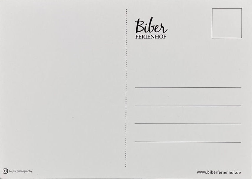 Postkarte "Feld"