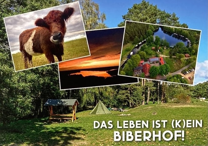 Postkarte "Das Leben ist (k)ein Biberhof!"
