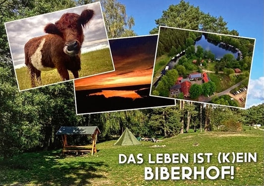 Postkarte "Das Leben ist (k)ein Biberhof!"